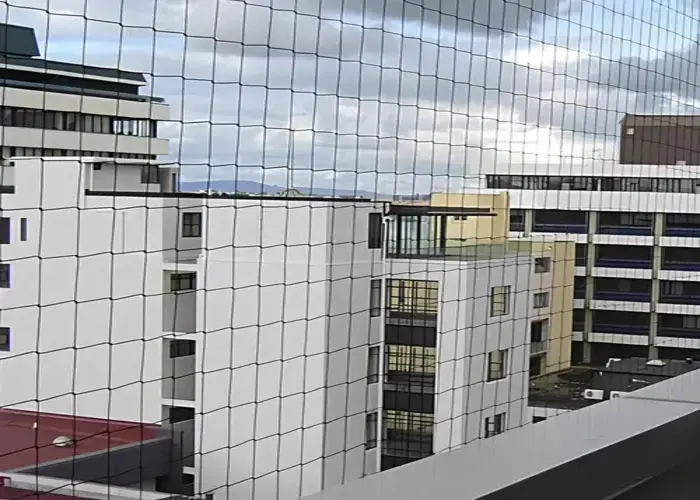 Superior Netting Quality Pigeon Netting Services in Koramangala and Nelamangala Near You and Throughout Bangalore at Best Prices